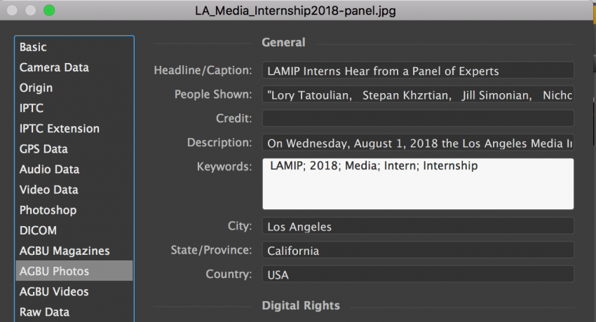 Adobe Bridge XMP Panel