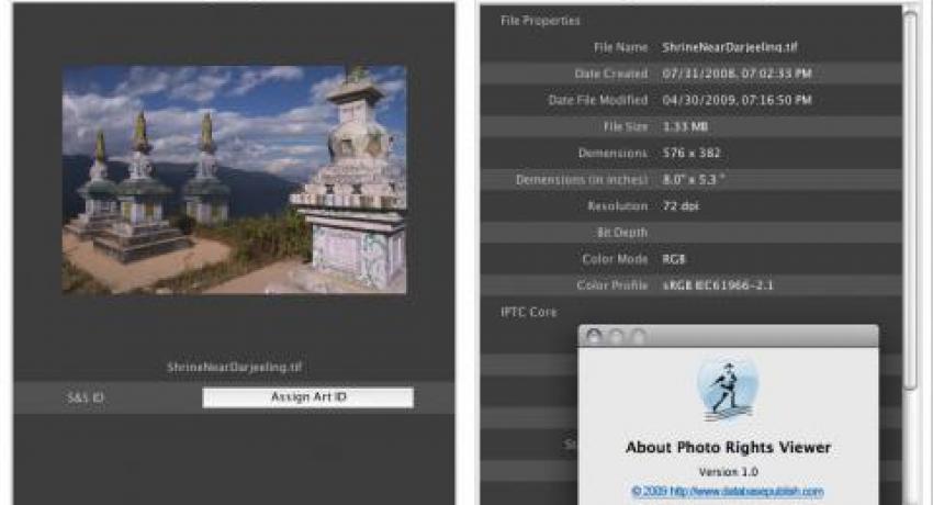 Showcase image